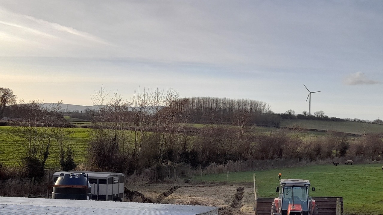 Photo of Others in Magherafelt