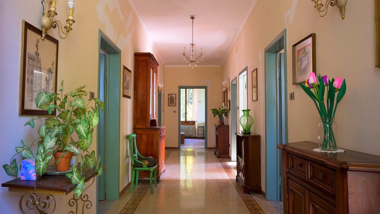 Photo of Others in Montefiridolfi
