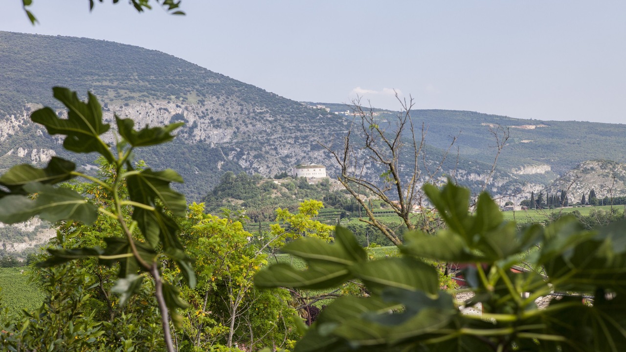 Photo of Outdoor in Rivoli Veronese