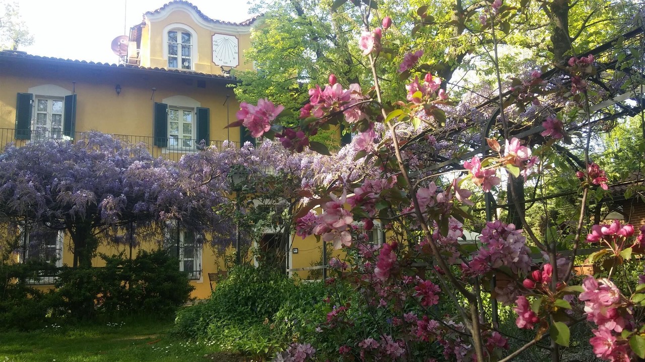 Photo of Outdoor in Piossasco