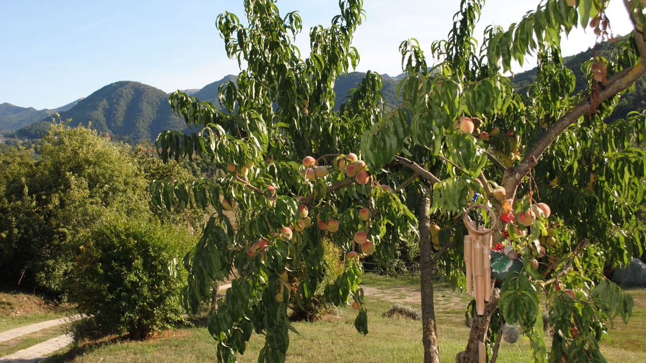 Photo of Outdoor in Voltaggio