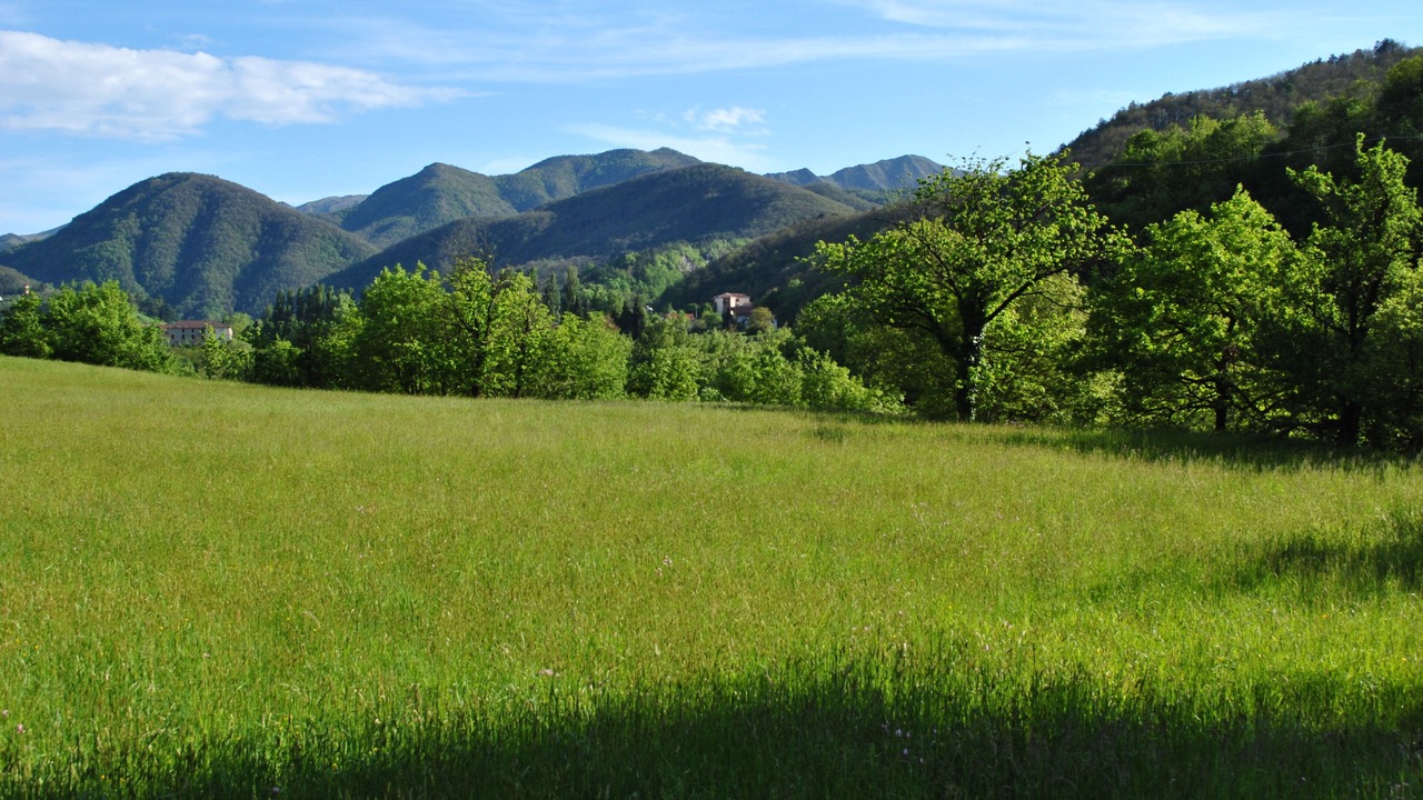 Photo of Outdoor in Voltaggio