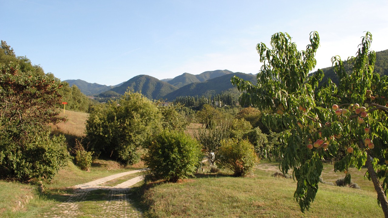 Photo of Outdoor in Voltaggio