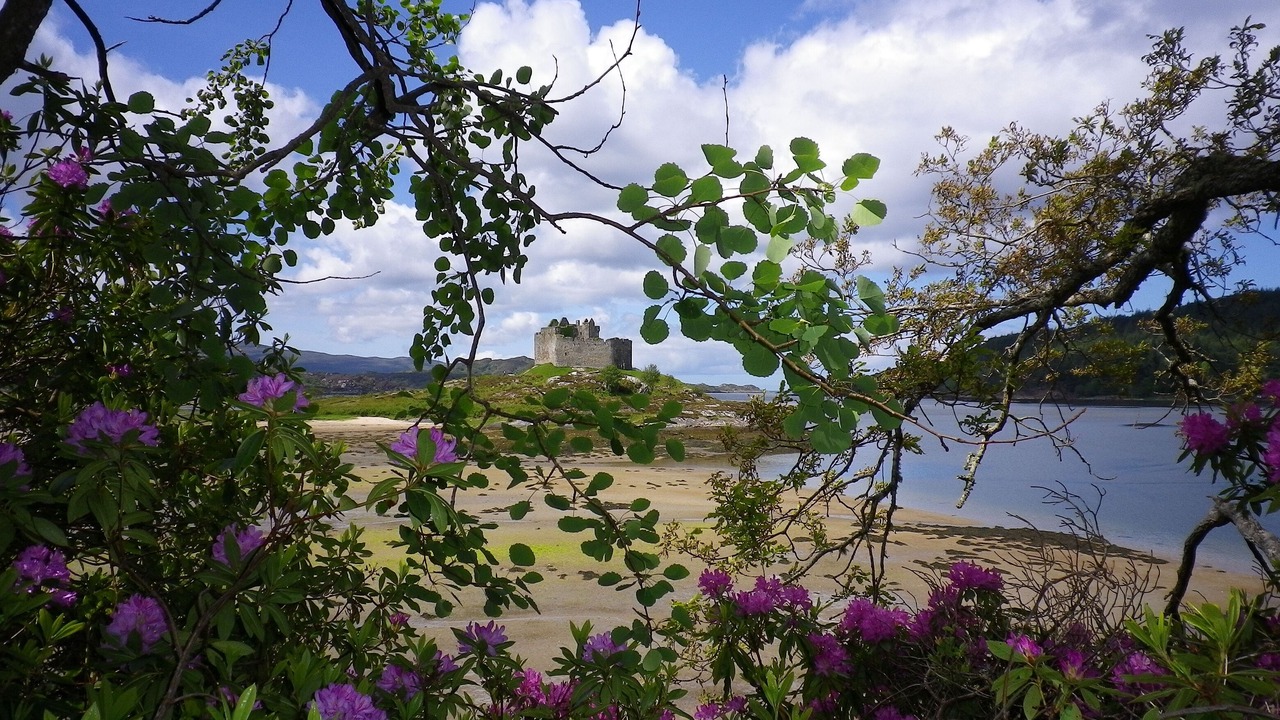 Photo of Others in Salen