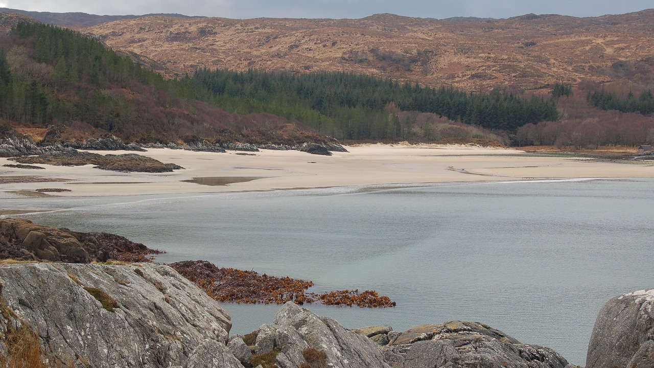 Photo of Others in Salen
