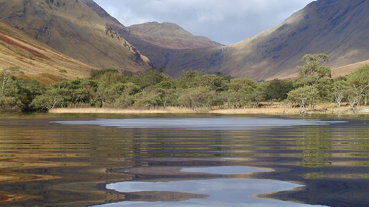 Photo of Others in Salen