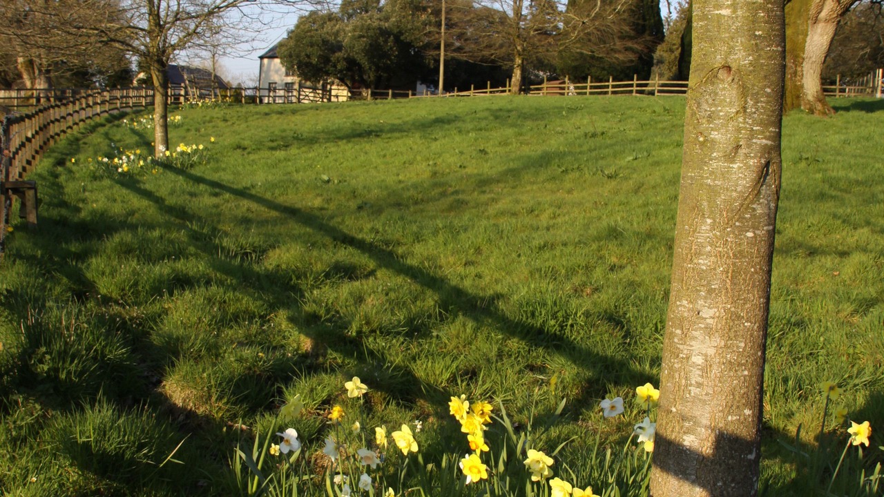 Photo of Outdoor in Fivemiletown