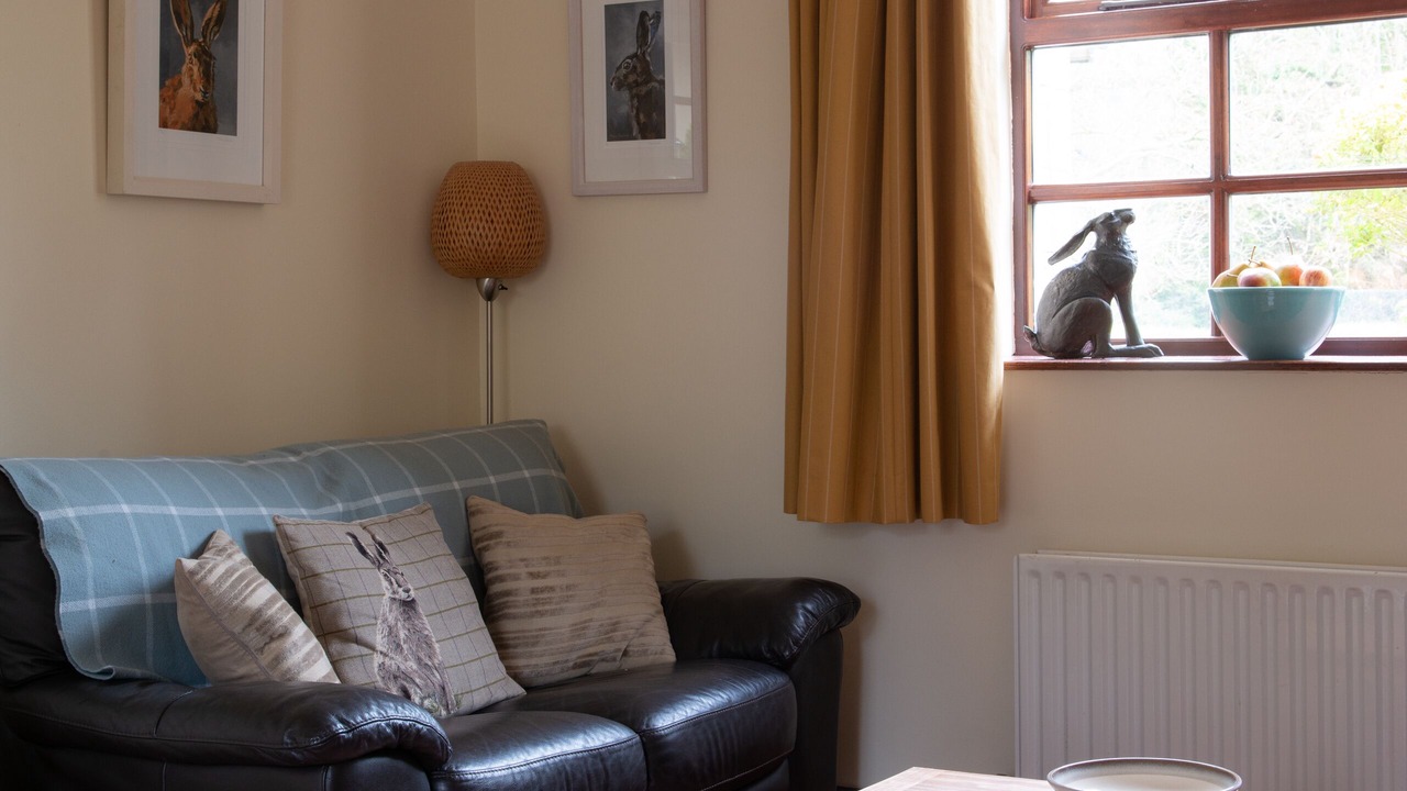 Photo of Livingroom in Fivemiletown