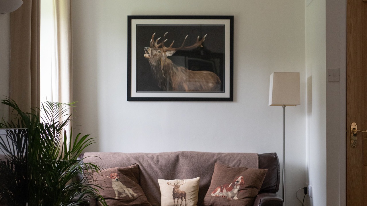 Photo of Livingroom in Fivemiletown