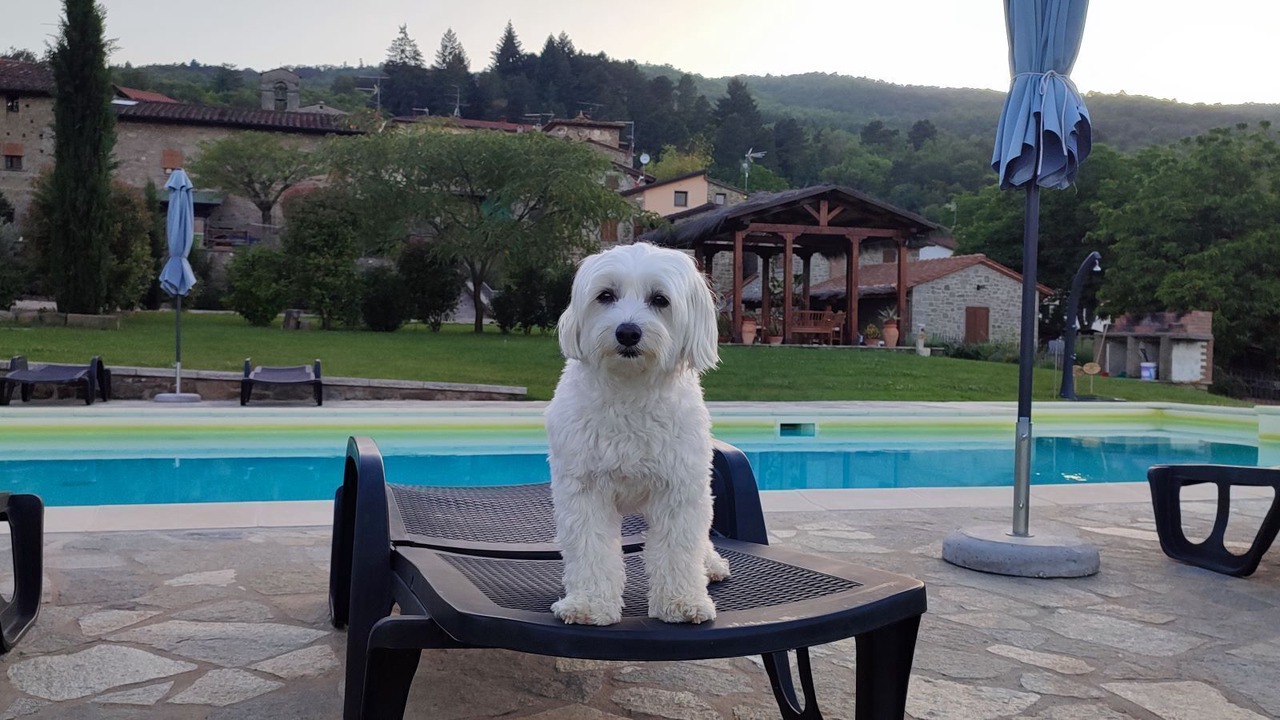 Photo of Outdoor in Porrena