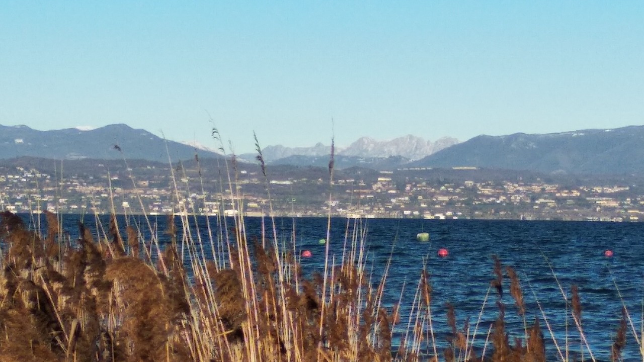 Photo of Others in Rivoltella