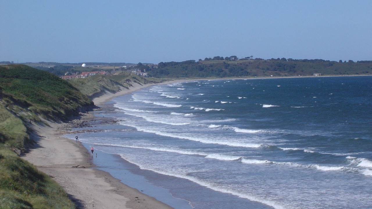 Photo of Others in Warkworth