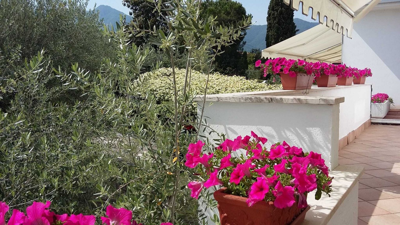 Photo of Outdoor in Salo