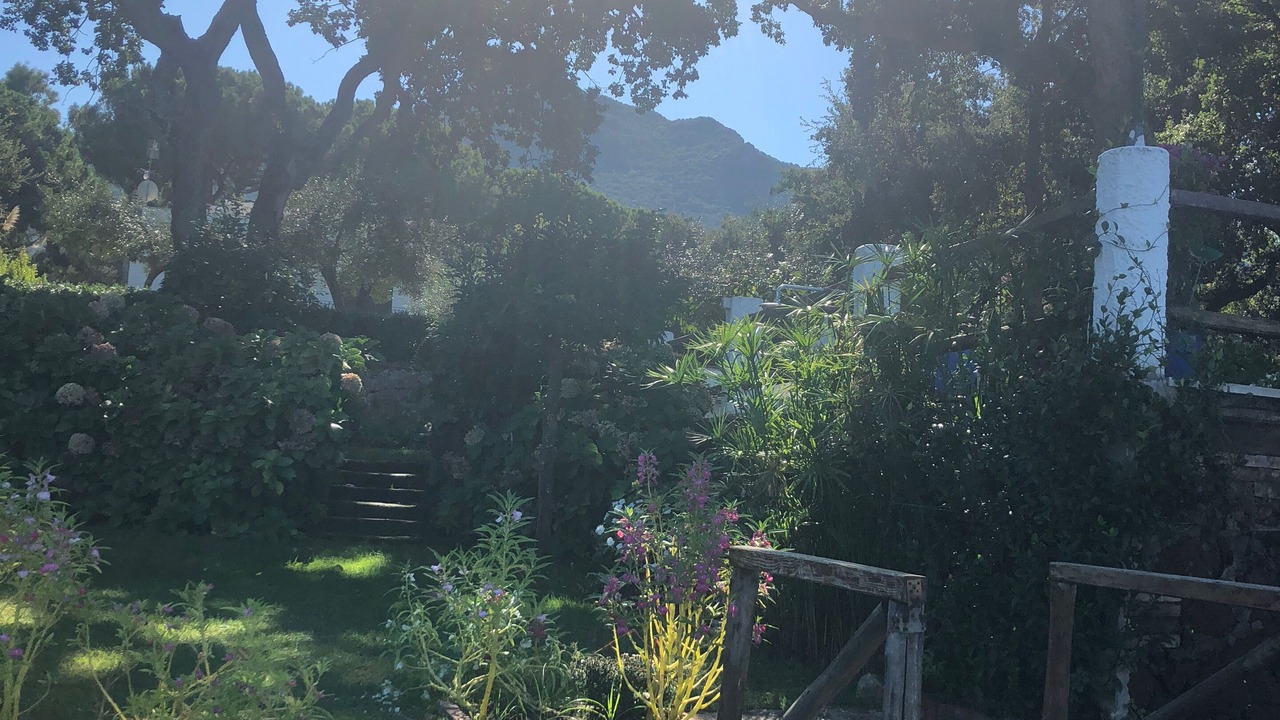 Photo of Outdoor in Sabaudia