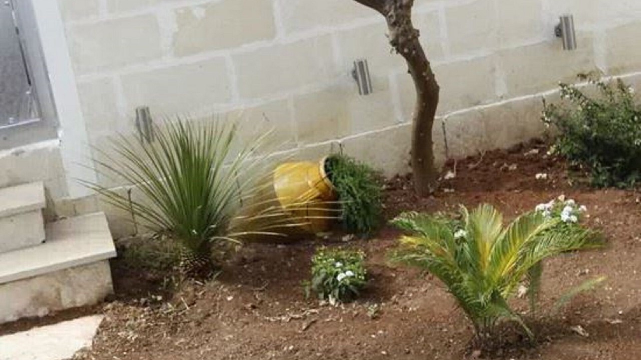 Photo of Outdoor in Manduria