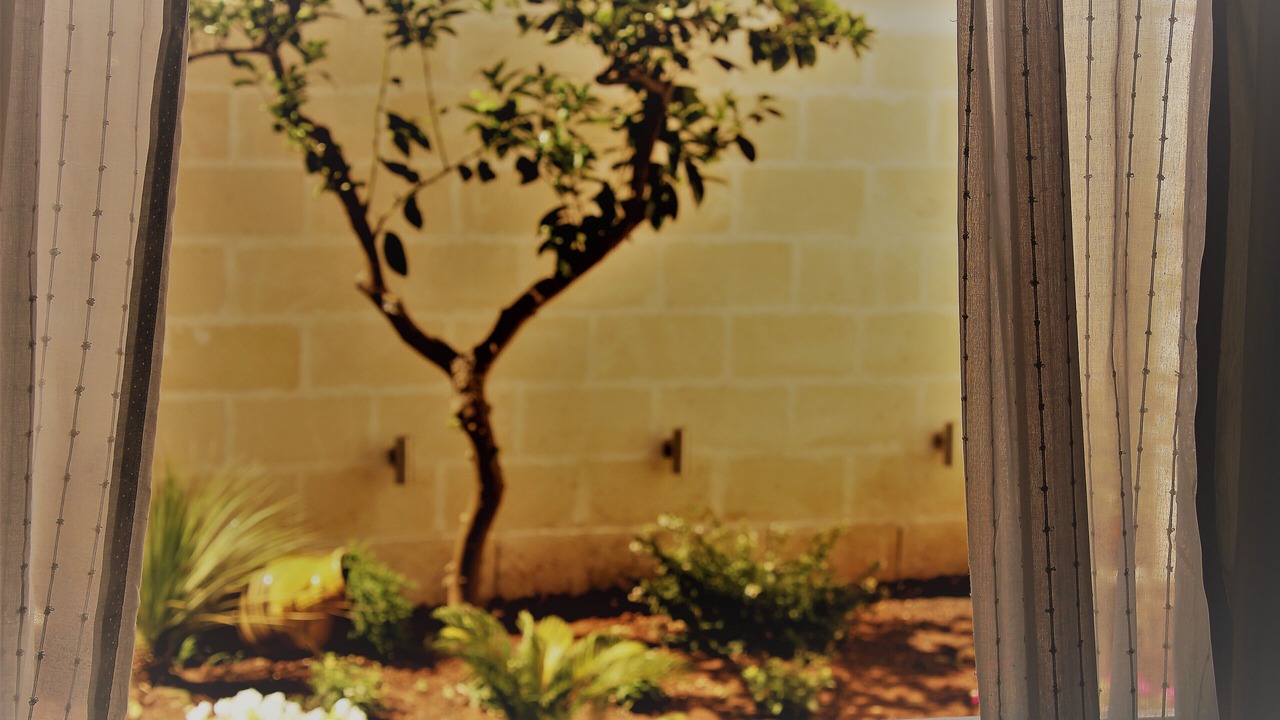 Photo of Others in Manduria