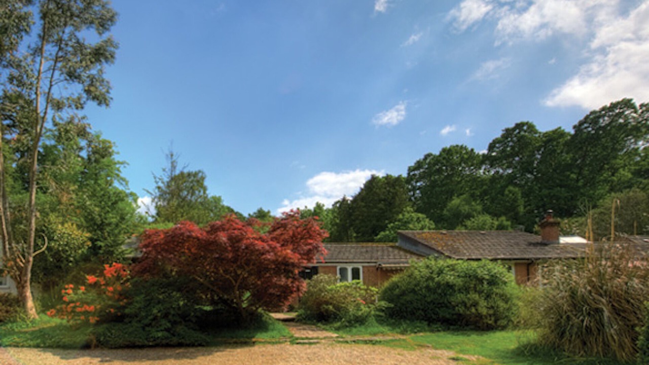 Photo of Others in New Forest District