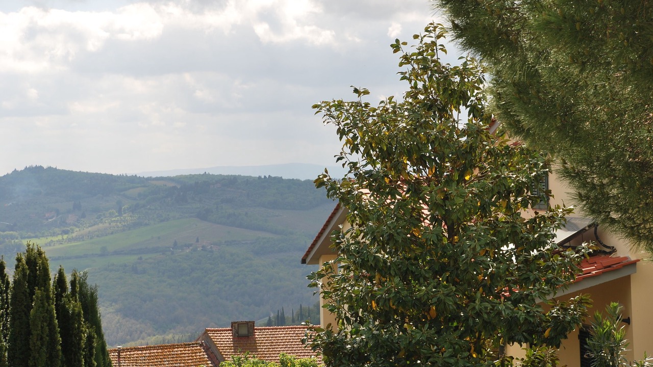 Photo of Others in Panzano in Chianti