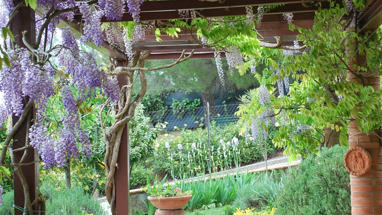 Photo of Outdoor in Panzano in Chianti