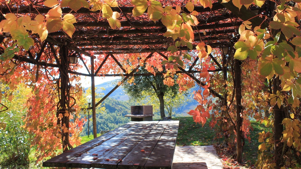 Photo of Outdoor in Urbino
