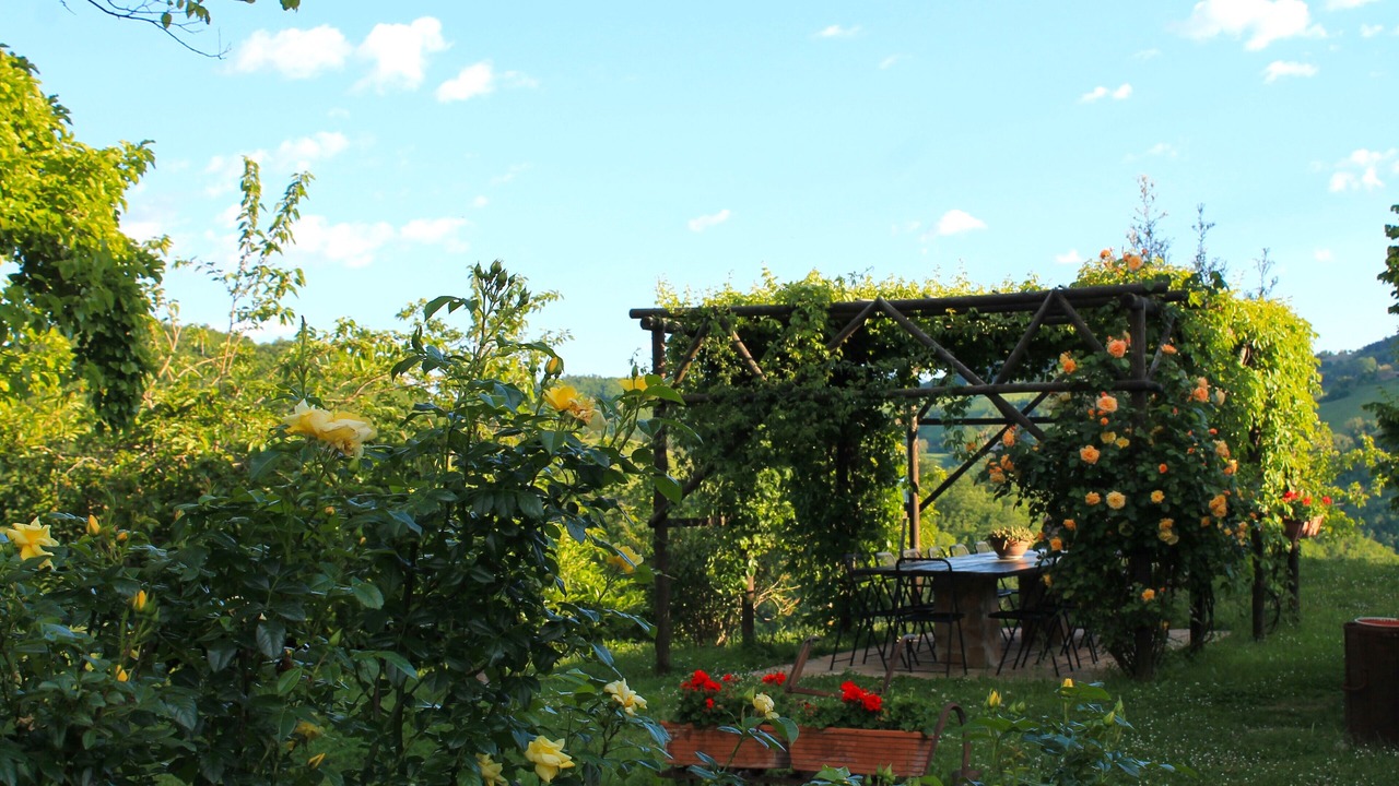 Photo of Outdoor in Urbino