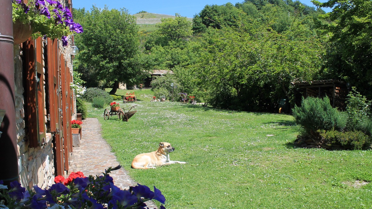 Photo of Outdoor in Urbino