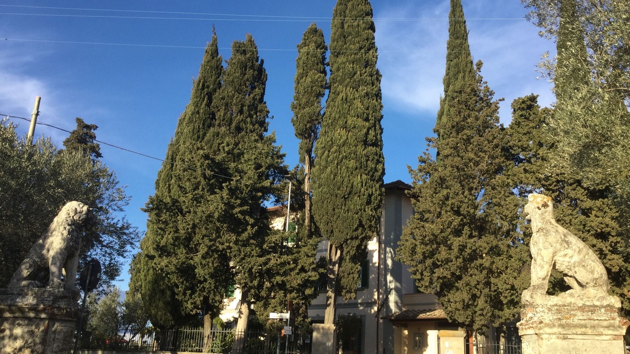 Photo of Outdoor in Montespertoli