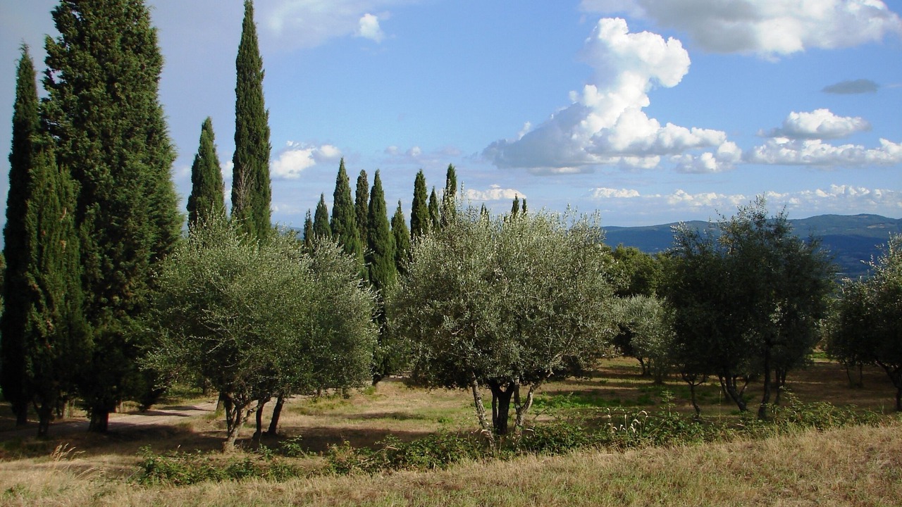 Photo of Outdoor in Loro Ciuffenna