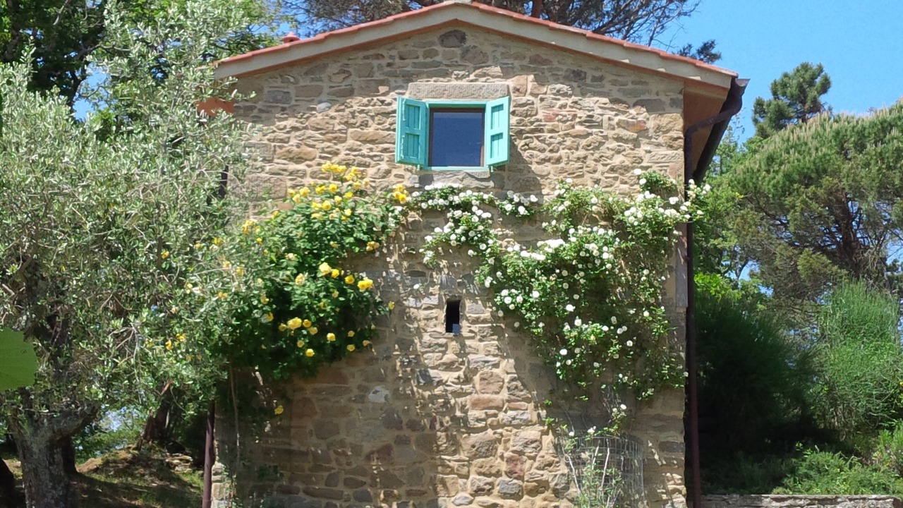Photo of Outdoor in Loro Ciuffenna