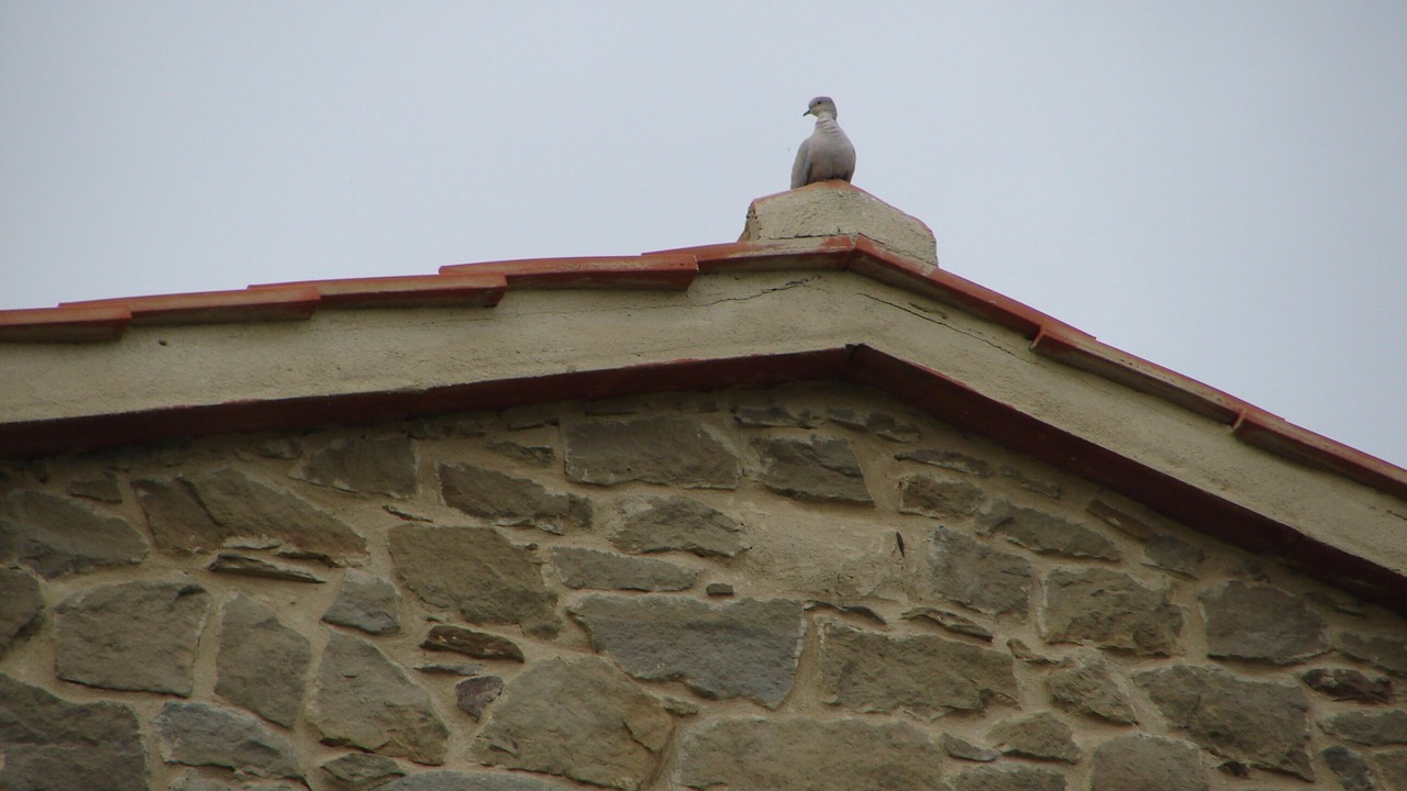 Photo of Outdoor in Loro Ciuffenna