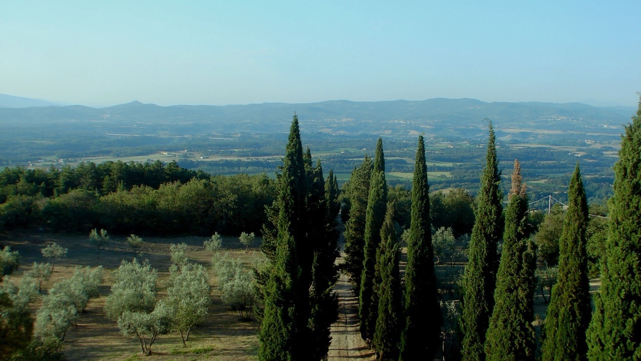 Photo of Outdoor in Loro Ciuffenna