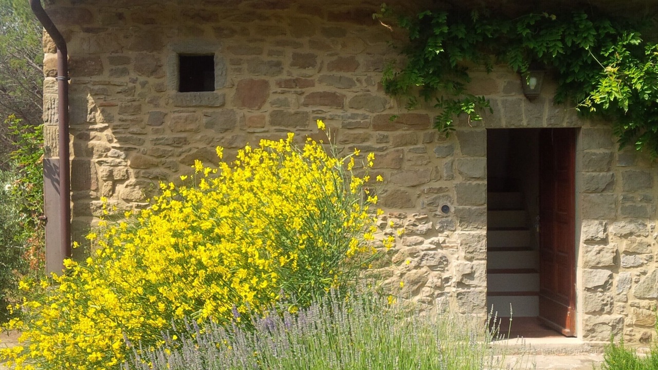 Photo of Outdoor in Loro Ciuffenna