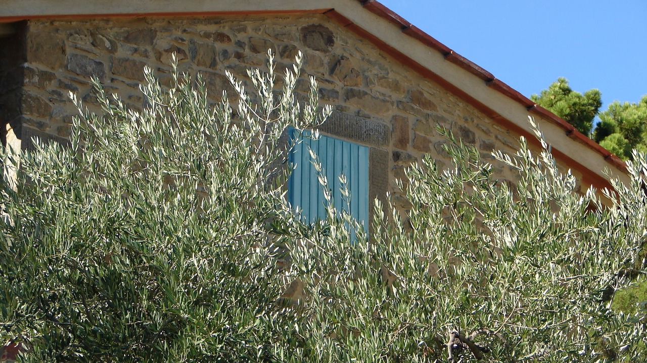 Photo of Outdoor in Loro Ciuffenna