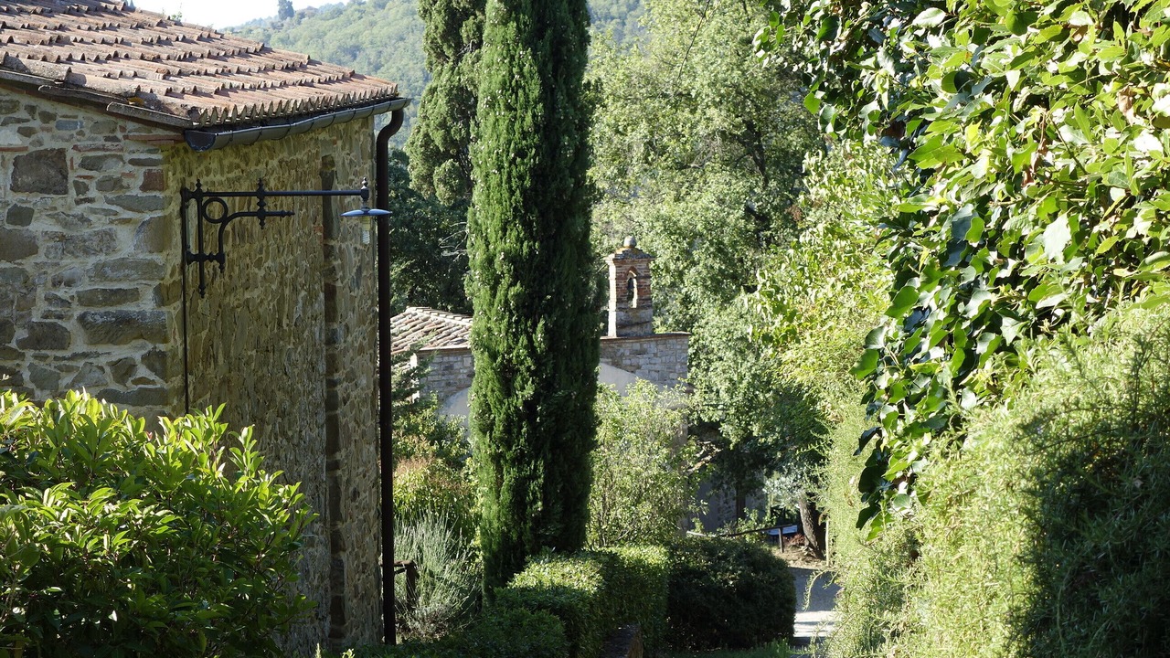 Photo of Others in Gaiole in Chianti
