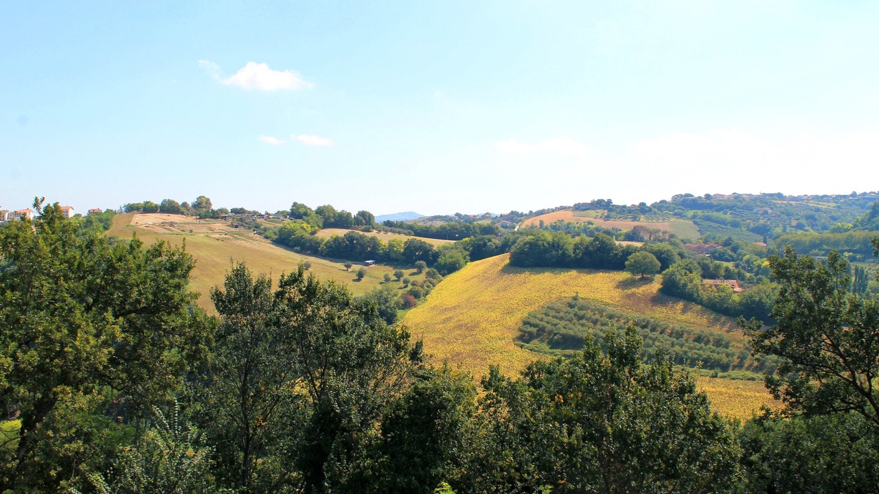 Photo of Others in Monteciccardo