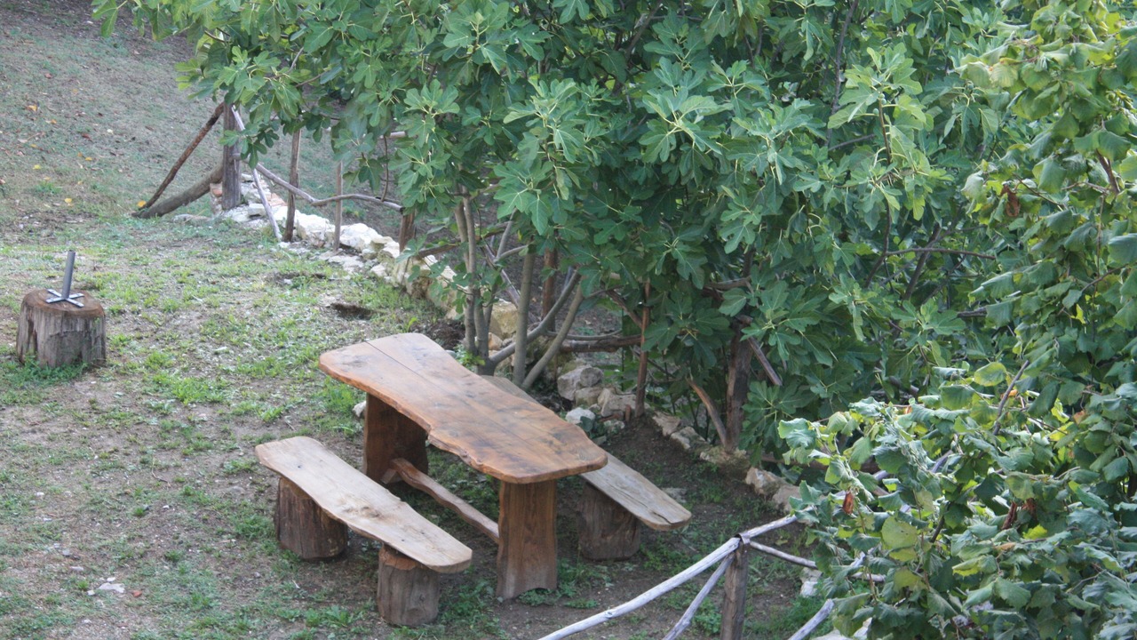 Photo of Outdoor in Poggio San Giovanni