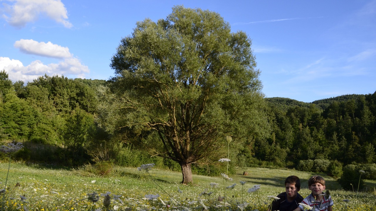 Photo of Outdoor in Poggio San Giovanni