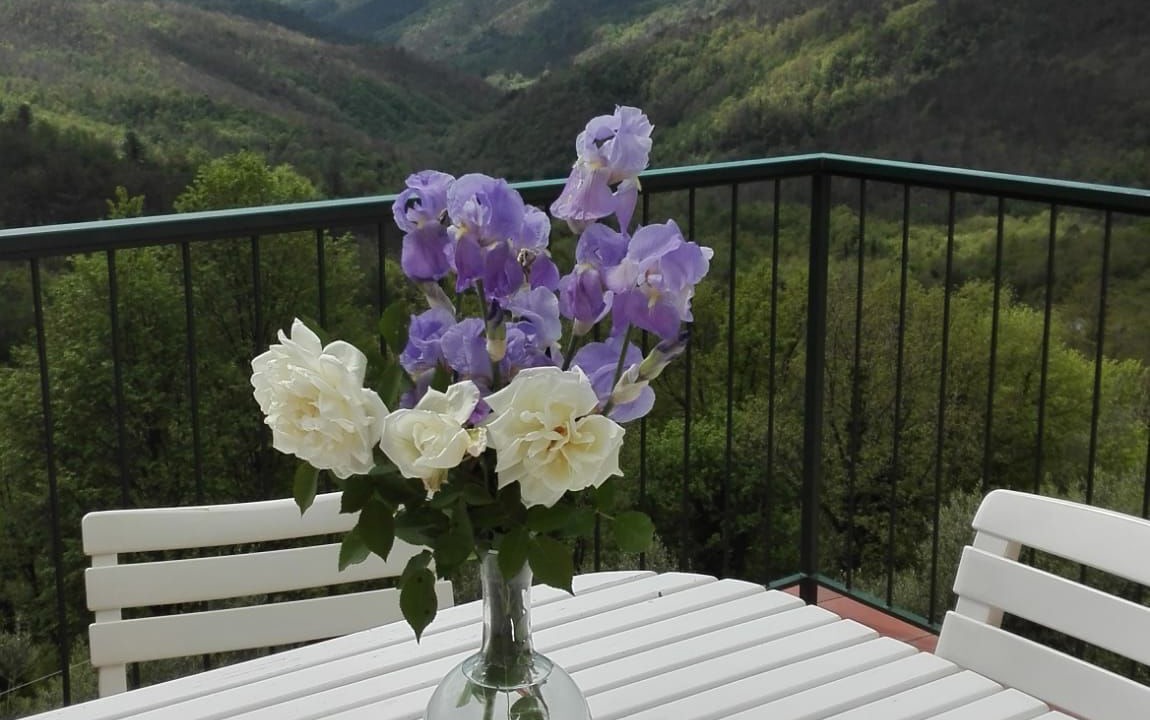 Photo of Outdoor in Zignago