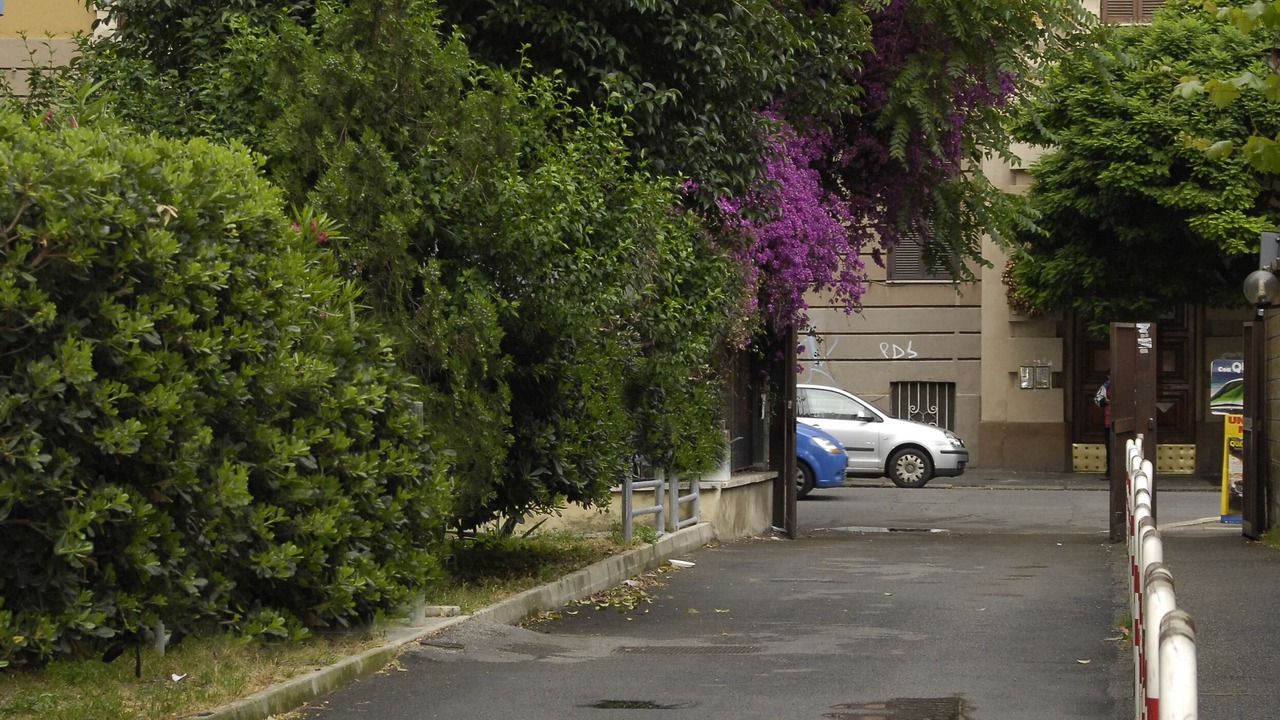 Photo of Others in San Giovanni