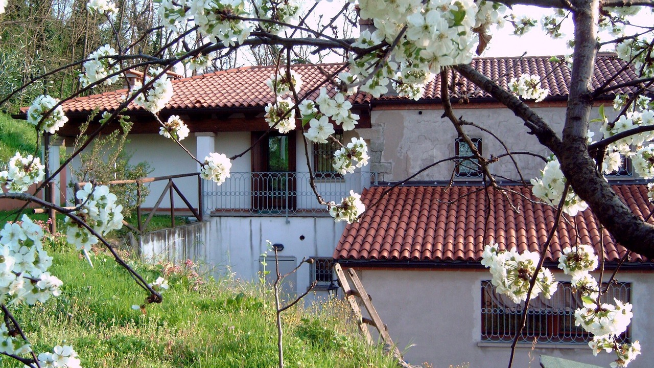 Photo of Outdoor in Cornoleda