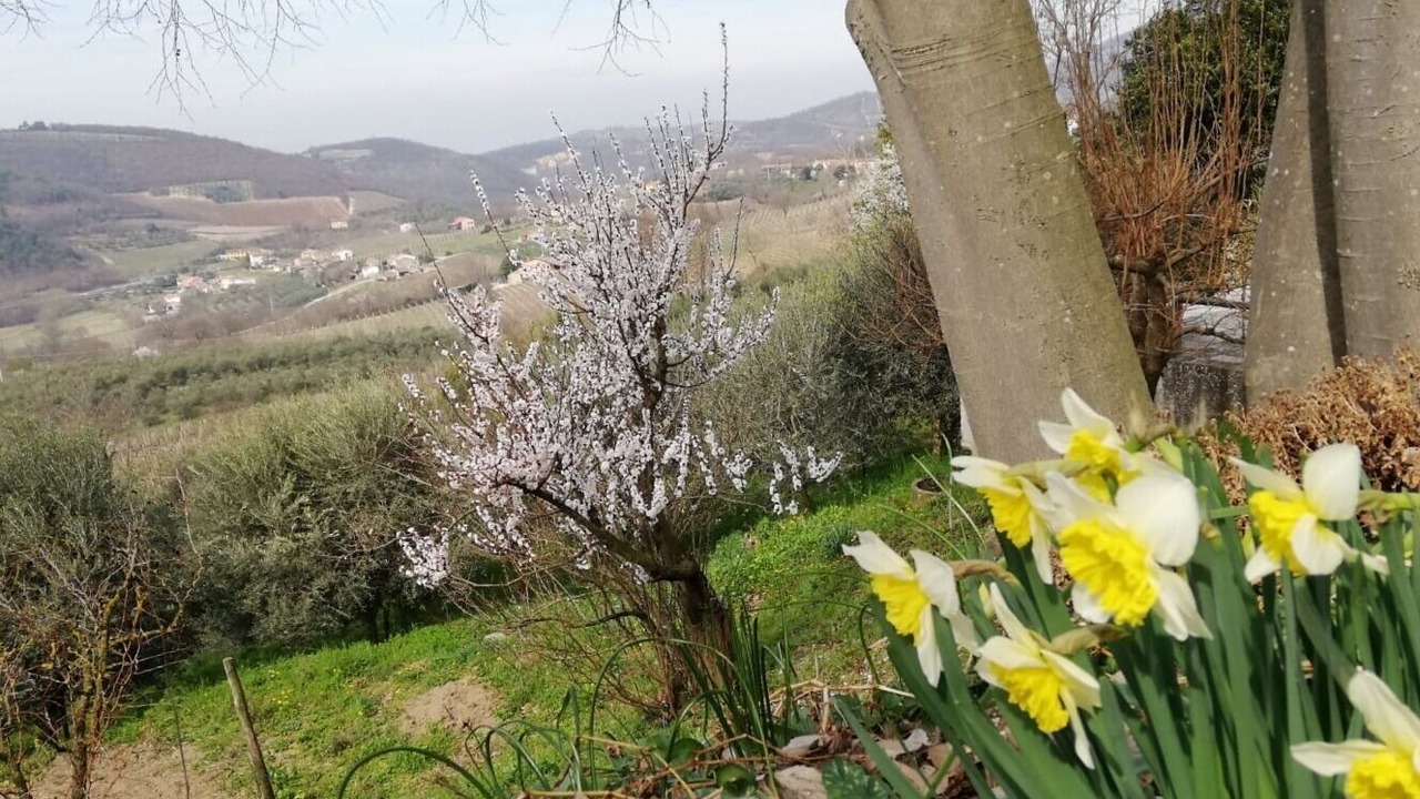 Photo of Outdoor in Cornoleda