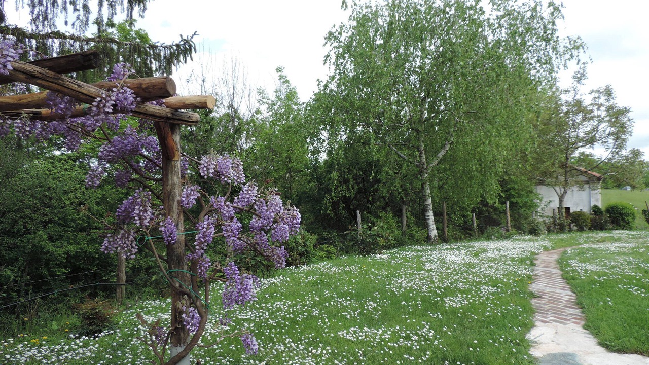 Photo of Outdoor in Cocconato