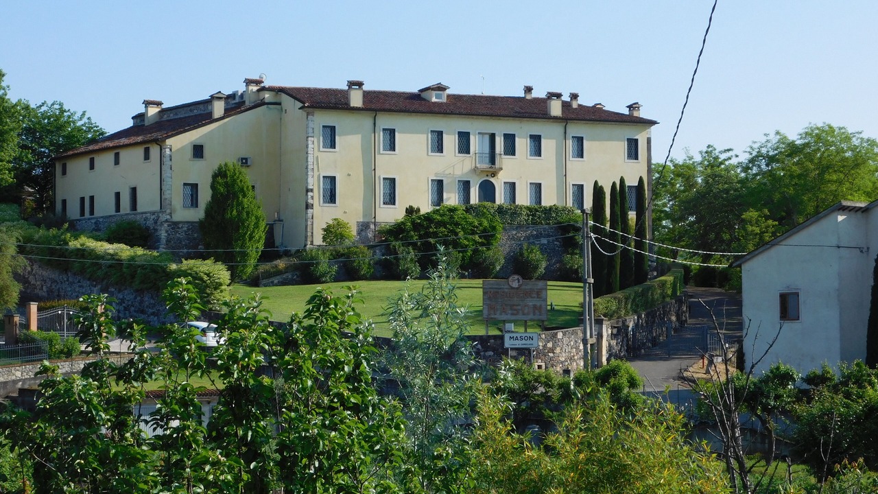 Photo of Outdoor in Mason
