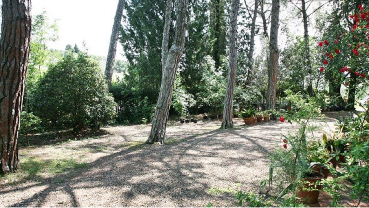 Photo of Outdoor in Impruneta