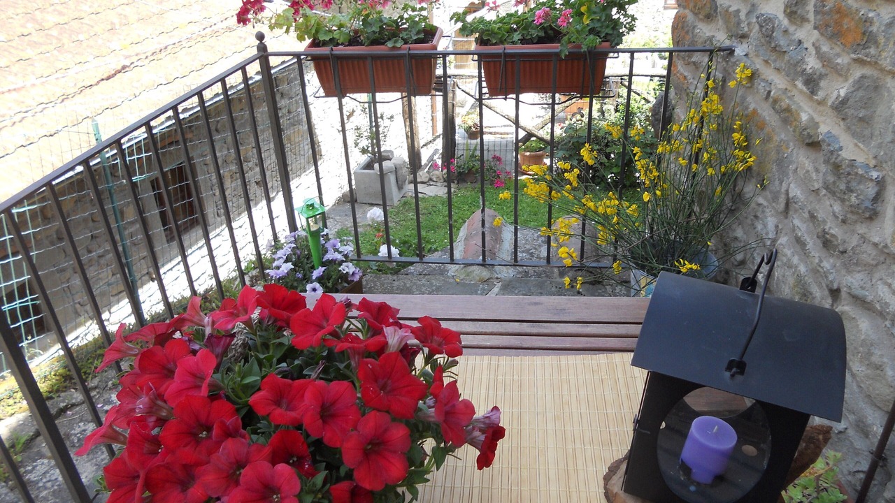 Photo of Outdoor in Raggiolo