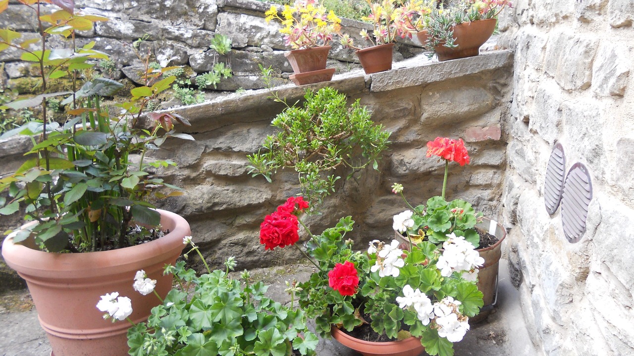 Photo of Outdoor in Raggiolo