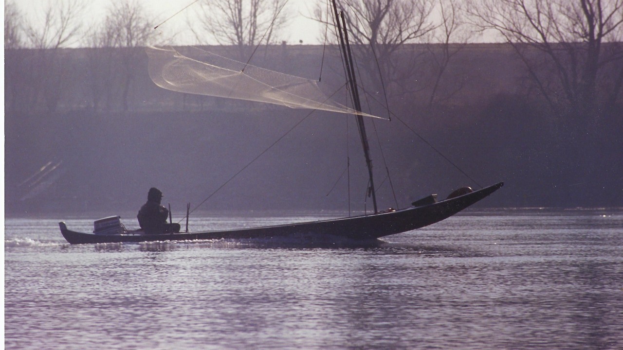 Photo of Others in Bondeno