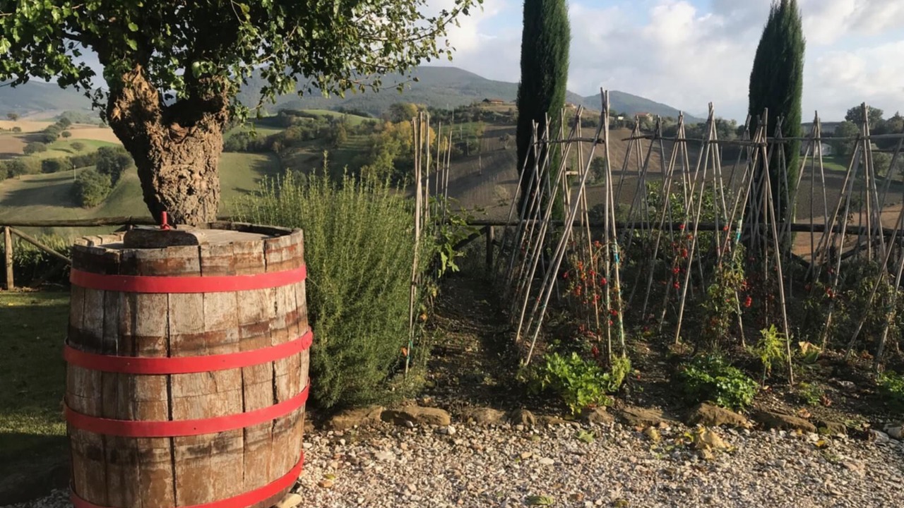 Photo of Outdoor in Monterosso