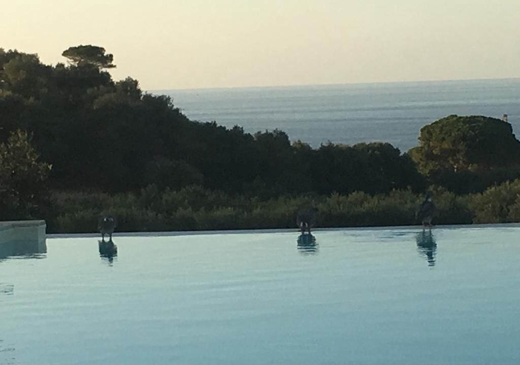 Photo of Outdoor in Bonagia