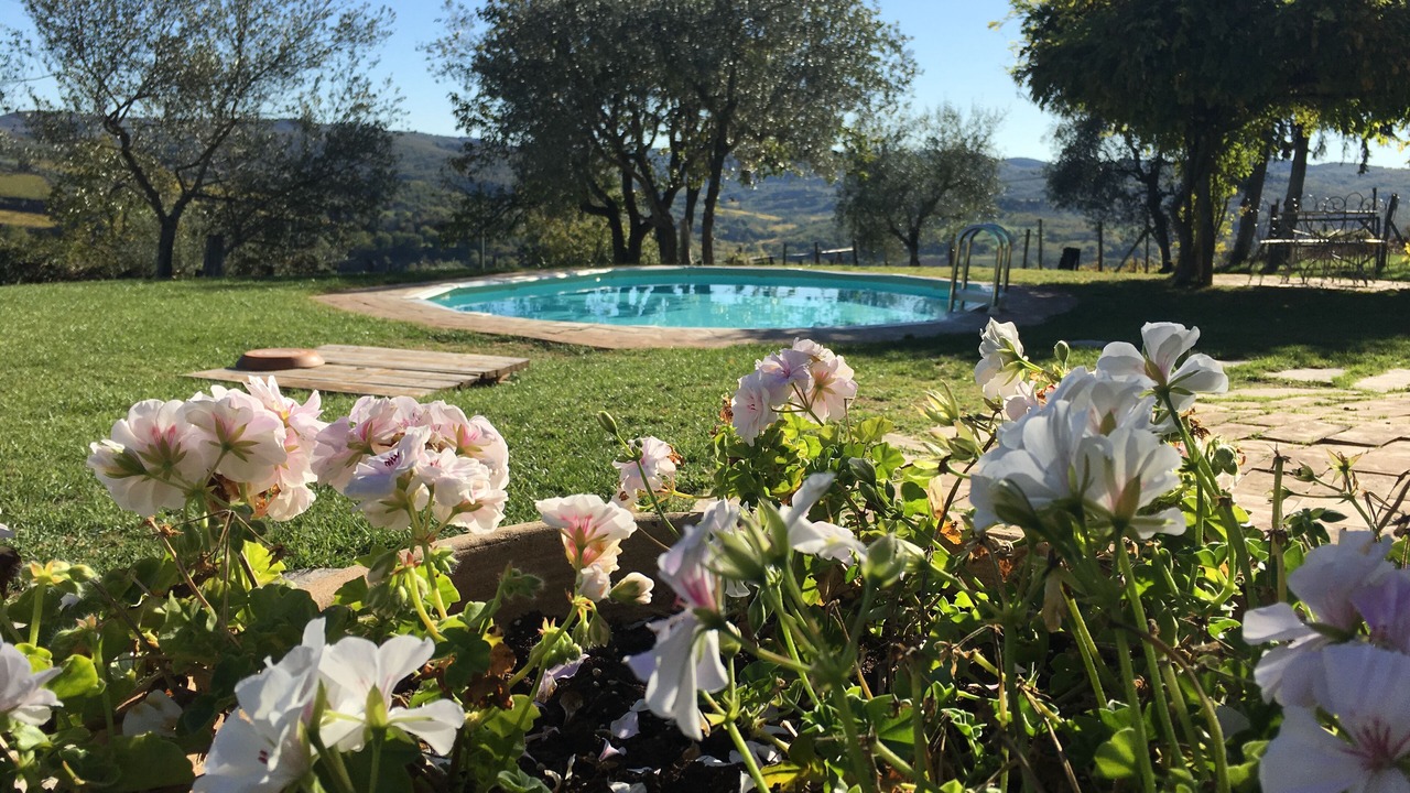 Photo of Outdoor in Greve in Chianti
